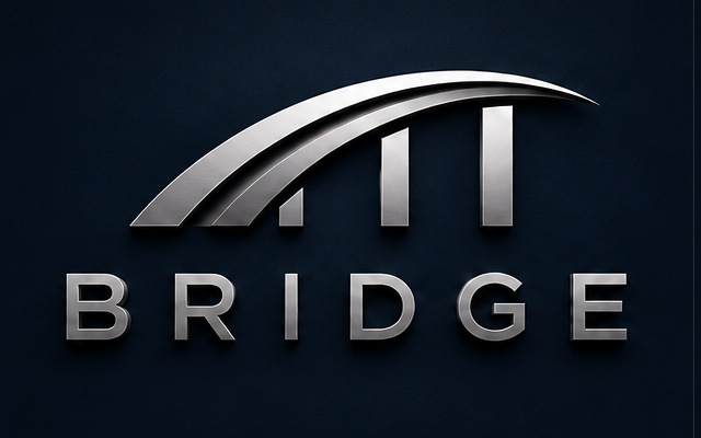 The Bridge — One Platform. Three Paths. Limitless Impact.